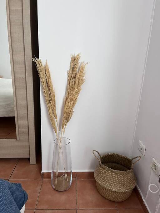 Casa Lunita Lägenhet Arona  Exteriör bild